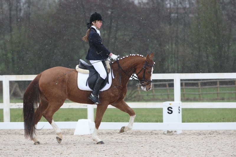 Plan Nacional de Tecnificaci&oacute;n de Doma Cl&aacute;sica